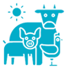 Animal husbandry
