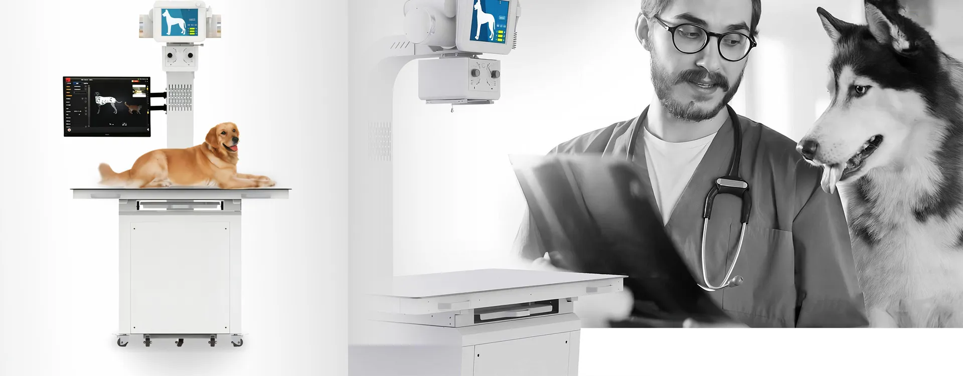 Veterinary X-Ray Solutions That Care for Pets as Much as You Do