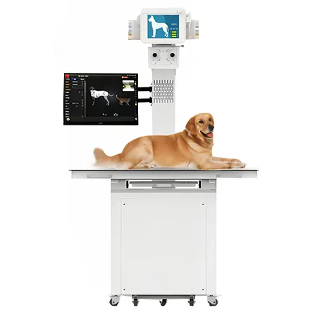 Veterinary X-Ray Machine