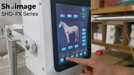 SHO-PX01V Veterinary X-Ray Machine