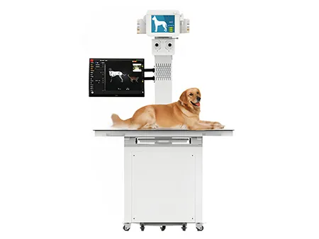 Veterinary X-Ray Machine