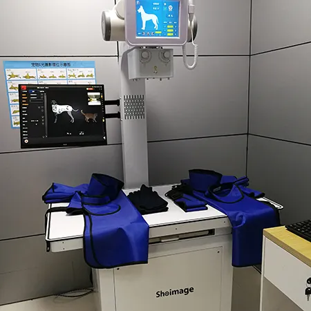 Veterinary X-Ray Machine