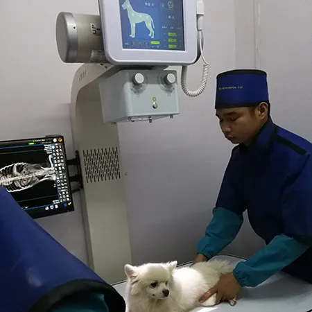 Veterinary X-Ray Machine