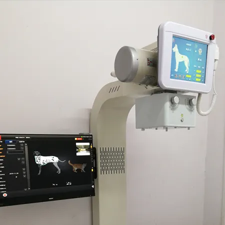 Veterinary X-Ray Machine