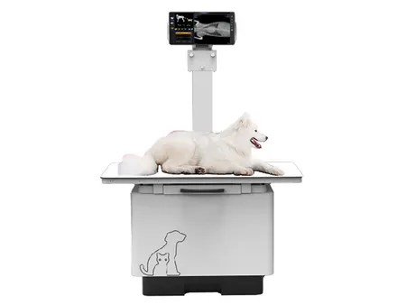 Veterinary X-Ray Machine
